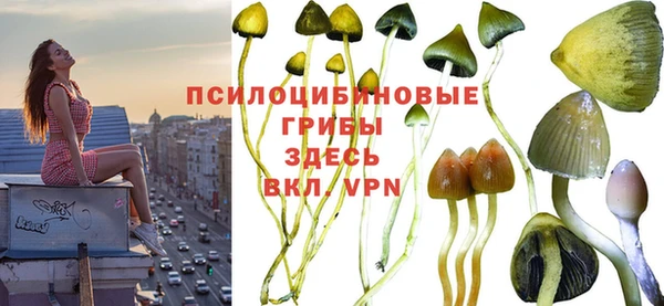 mdpv Алексеевка