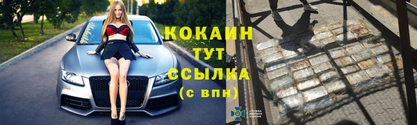 твердый Алексин