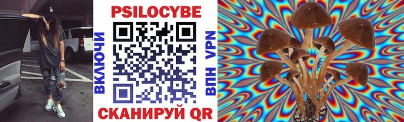 площадка состав  Анива  Галлюциногенные грибы Psilocybine cubensis  мега как зайти 